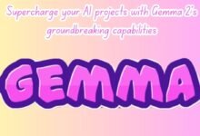 Gemma 2