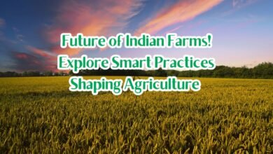 India’s agricultural revolution