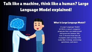 Large Language Model